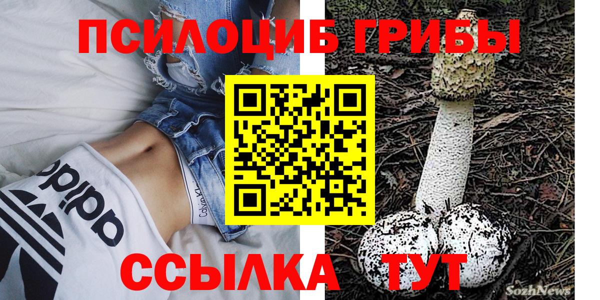 Усть-Джегута  Галлюциногенные грибы прущие грибы  Вход с VPN 
